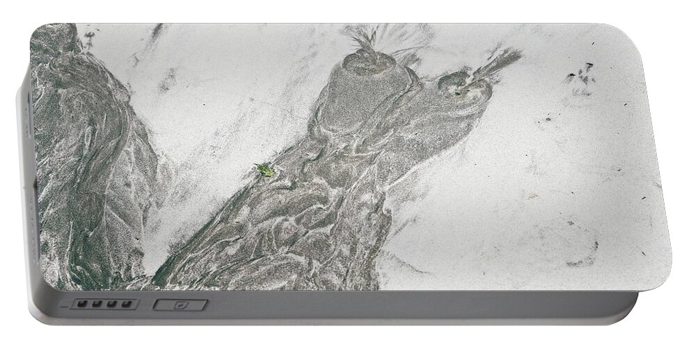 Abstract Portable Battery Charger featuring the digital art Beach Sand Owl by David Desautel