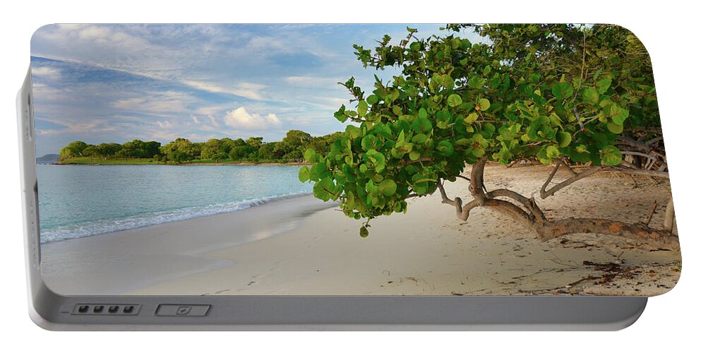 Beach Portable Battery Charger featuring the photograph Beach Tree in the Caribbean by Matthew DeGrushe