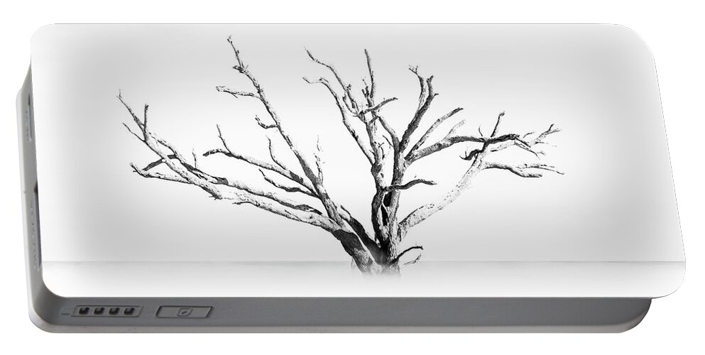 South Carolina Portable Battery Charger featuring the photograph Beach Tree by Stefan Mazzola