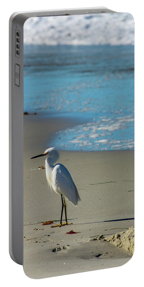 Brid Portable Battery Charger featuring the photograph Beachcomber by Stephen Sloan