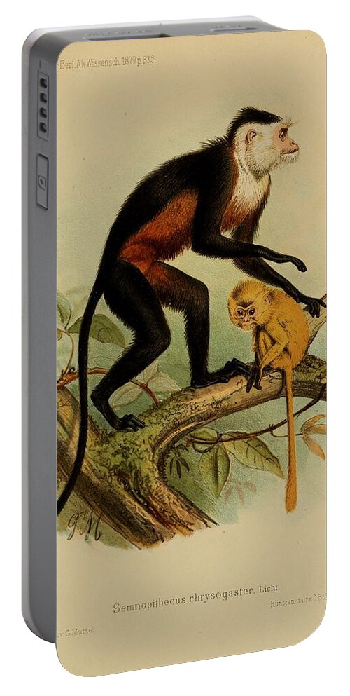 John Portable Battery Charger featuring the mixed media Beautiful Antique Monkey by World Art Collective
