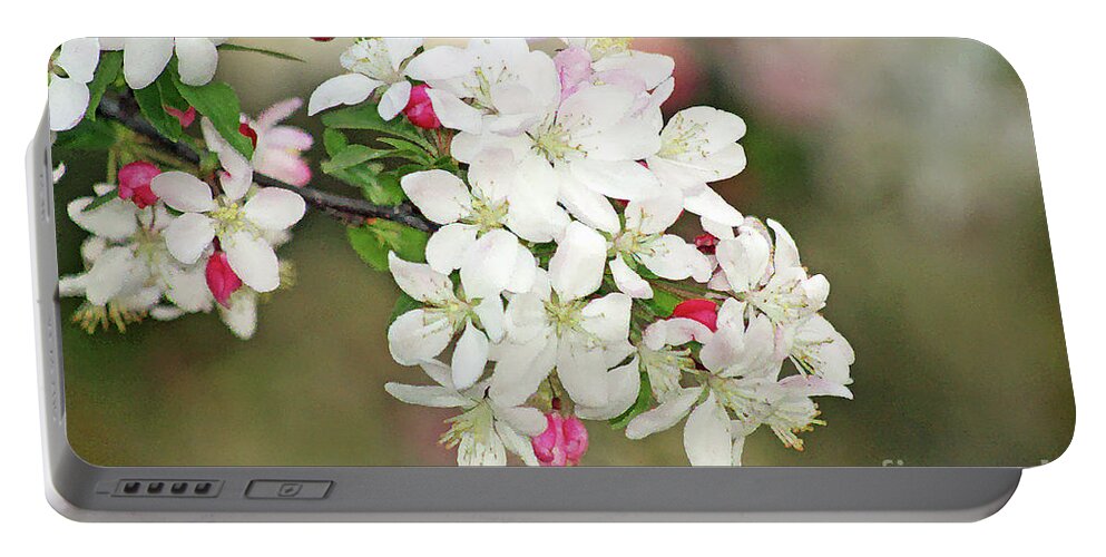 Apple Blossoms; Tree Blossoms; Flowers; Fruit Tree; Spring; Watercolor; Bokeh; Floral; Romantic; Peaceful; Dreamy; Close-up; Macro; Horizontal Portable Battery Charger featuring the digital art Beautiful Apple Blossoms by Tina Uihlein