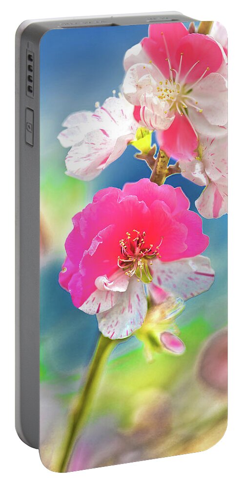 Cherry Blossom Tree Portable Battery Charger featuring the photograph Beautiful Blossoms by Az Jackson