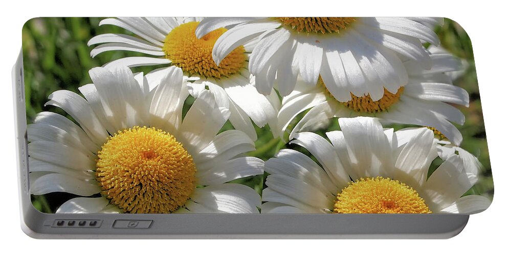 Daisies Portable Battery Charger featuring the photograph Beautiful Daisies by Scott Olsen
