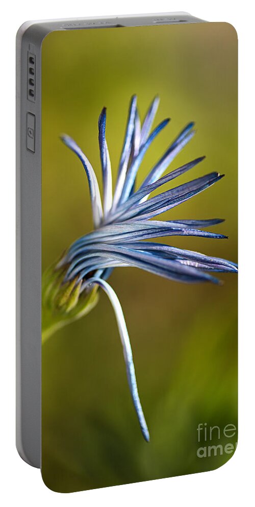Daisy Portable Battery Charger featuring the photograph Beautiful Dancing Daisy Flower by Joy Watson