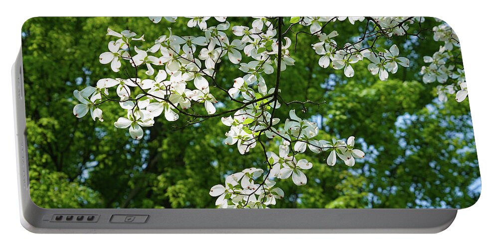 Beautiful Dogwood Portable Battery Charger featuring the photograph Beautiful Dogwood by Rachel Cohen