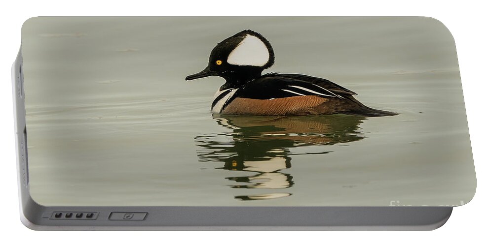 Hooded Merganser Portable Battery Charger featuring the photograph Beautiful hooded merganser by Sam Rino