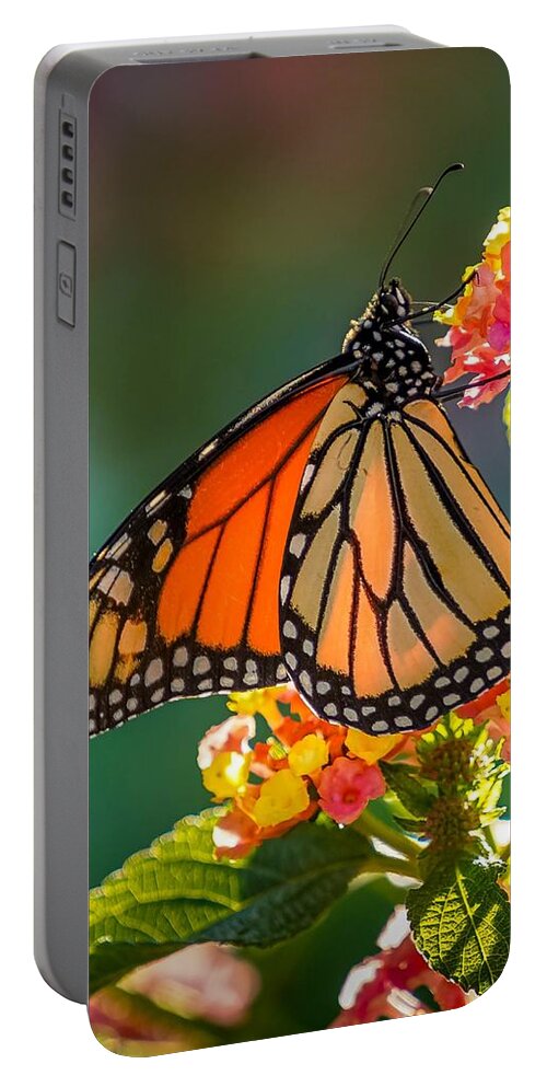 Monarch Portable Battery Charger featuring the photograph Beautiful Monarch by Susan Rydberg