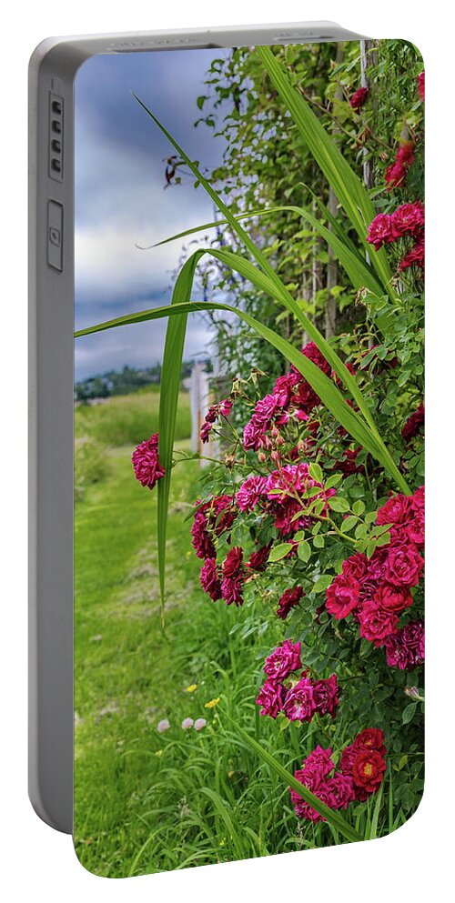 Alex Lyubar Portable Battery Charger featuring the photograph Beautiful Spring Flowers by Alex Lyubar