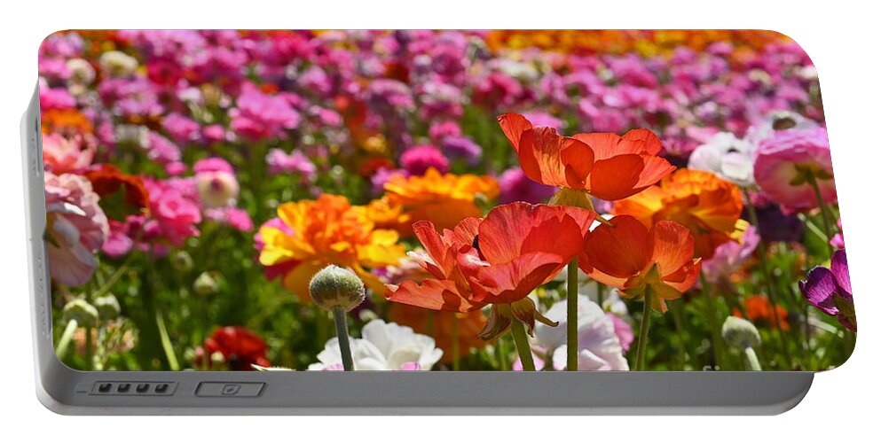 Flowers Portable Battery Charger featuring the photograph Beautiful Spring Flowers by Rich Cruse