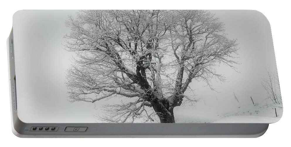 Tree Portable Battery Charger featuring the photograph Beautiful Tree in the Mist by Stan Weyler