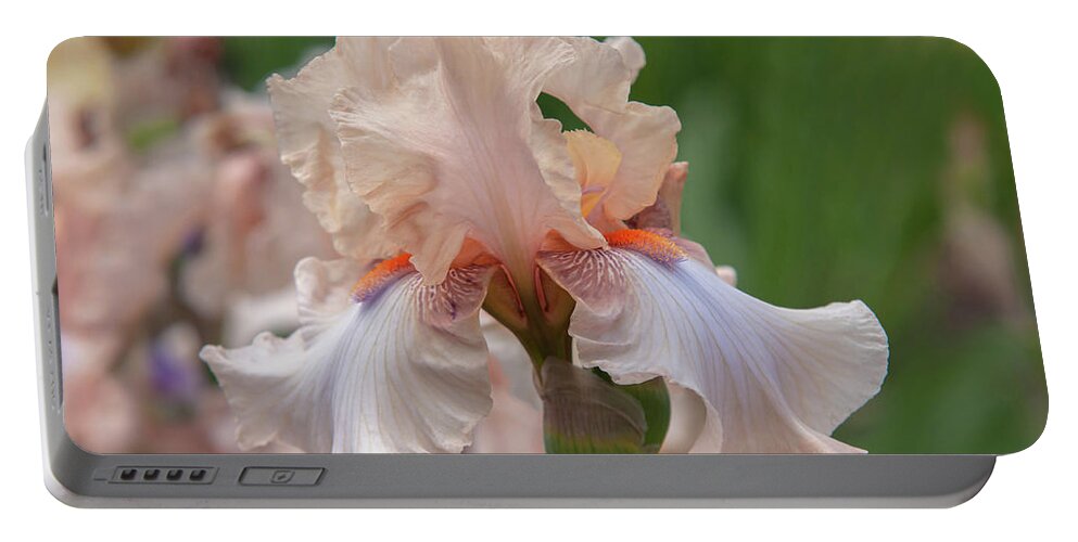 Jenny Rainbow Fine Art Photography Portable Battery Charger featuring the photograph Beauty Of Irises. Ballerina Pirouette 5 by Jenny Rainbow
