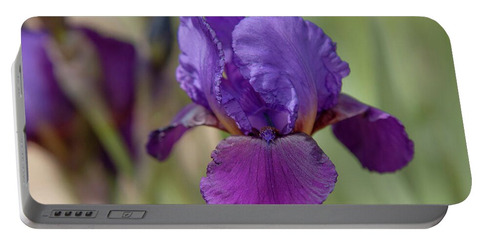 Jenny Rainbow Fine Art Photography Portable Battery Charger featuring the photograph Beauty Of Irises. Con Brio by Jenny Rainbow