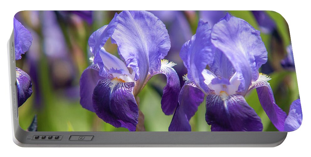 Jenny Rainbow Fine Art Photography Portable Battery Charger featuring the photograph Beauty Of Irises. Irises Germanica 2 by Jenny Rainbow