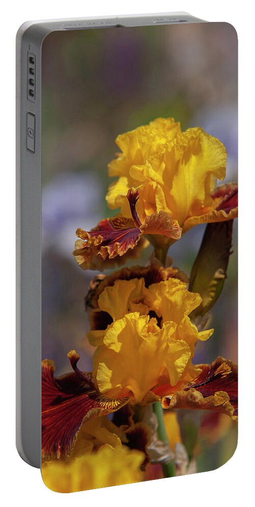 Jenny Rainbow Fine Art Photography Portable Battery Charger featuring the photograph Beauty Of Irises. Magic Lamp 3 by Jenny Rainbow