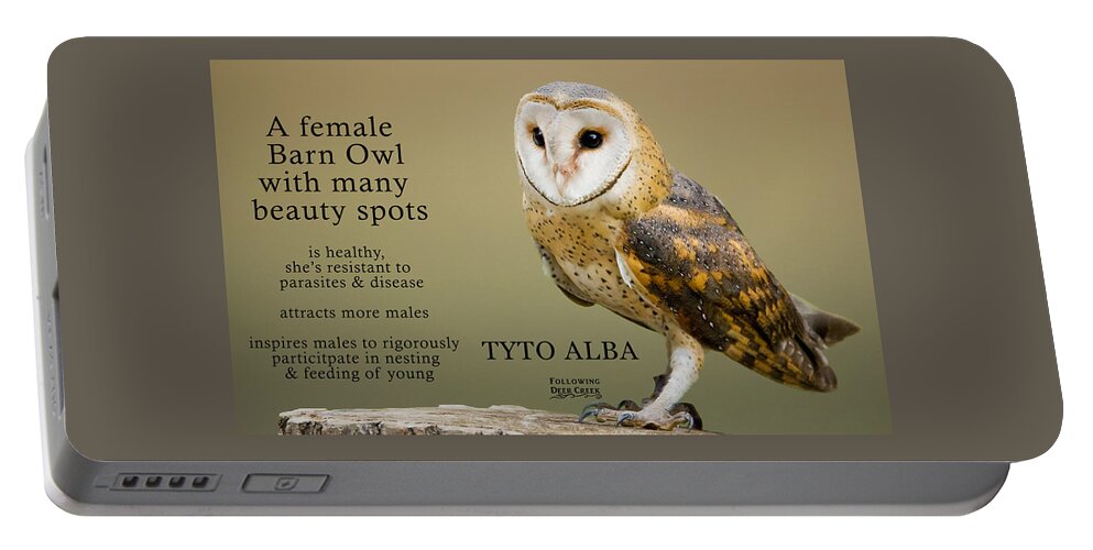 Barn Owl Portable Battery Charger featuring the digital art Beauty Spots by Lisa Redfern