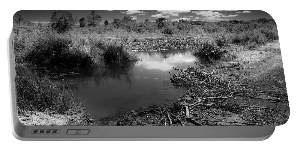 Beaver Dam Portable Battery Charger featuring the photograph Beaver Dam by Mike Penney