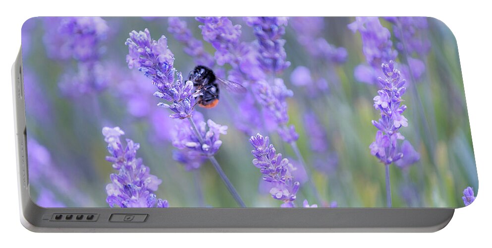 Lavender Portable Battery Charger featuring the photograph Bee buzzing in the lavender by Andrew Lalchan
