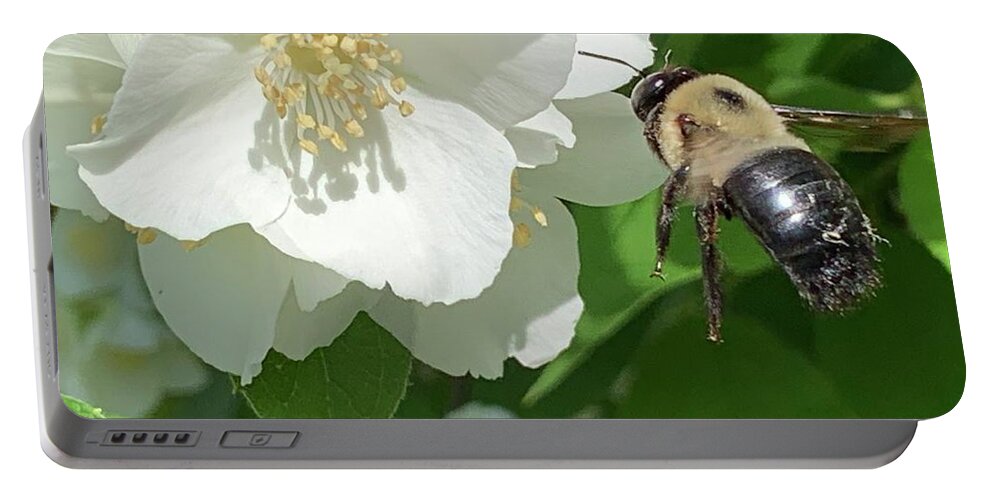 Bee Portable Battery Charger featuring the photograph Bee in Flight by Catherine Wilson
