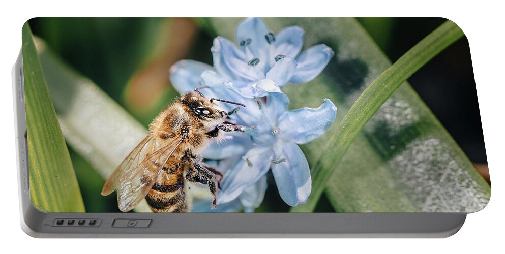 2018 Portable Battery Charger featuring the photograph Bee on a Flower by Benoit Bruchez