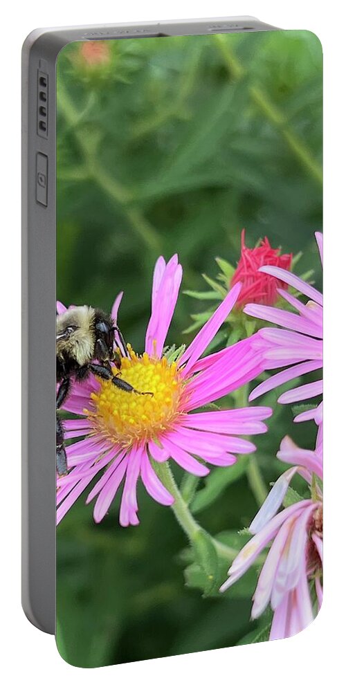 Bee On Flower Portable Battery Charger featuring the photograph Bee on flower by Meta Gatschenberger