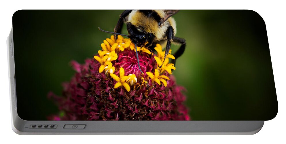 Zinnia Portable Battery Charger featuring the photograph Bee on Zinnia by Carrie Hannigan