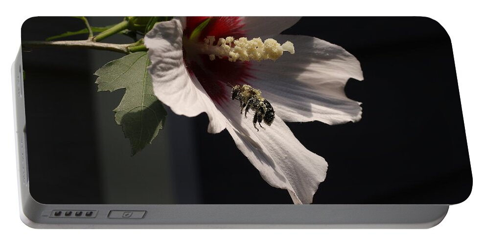 Nature Portable Battery Charger featuring the digital art Bee pollen collector by Kathleen Illes