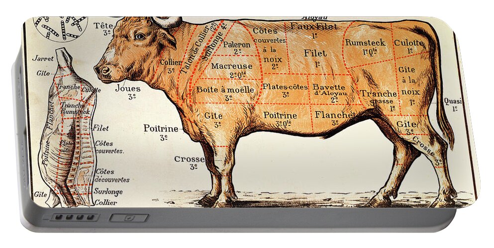 Le Boeuf; Cow; Cut; Joint; Food; Animal; Butchering Portable Battery Charger featuring the drawing Beef by French School