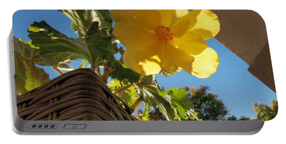 Botanical Portable Battery Charger featuring the photograph Begonia Gold by Richard Thomas