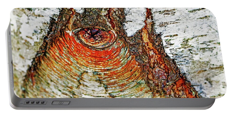 Abstract Portable Battery Charger featuring the photograph Belly Button Birch by Debbie Oppermann