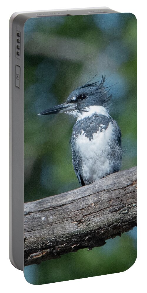 Nature Portable Battery Charger featuring the photograph Belted Kingfisher DSB0380 by Gerry Gantt