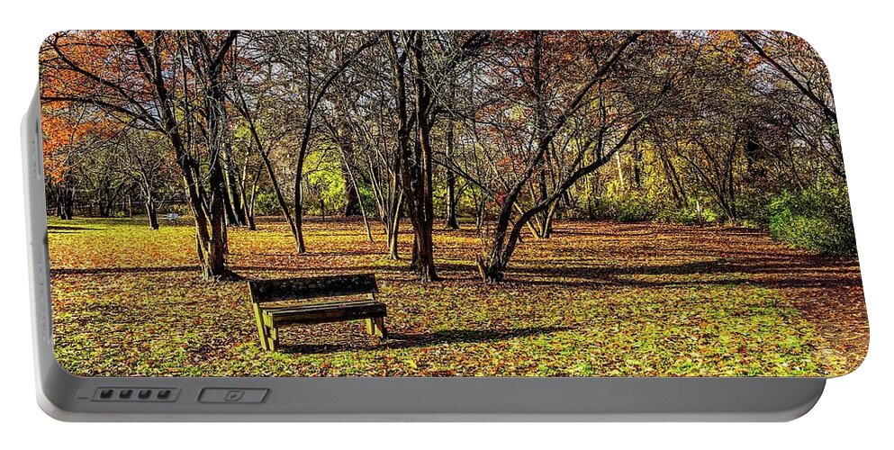 Tahquamenon Falls Portable Battery Charger featuring the photograph Bench Along the Colored Trail IMG_4057 by Michael Thomas