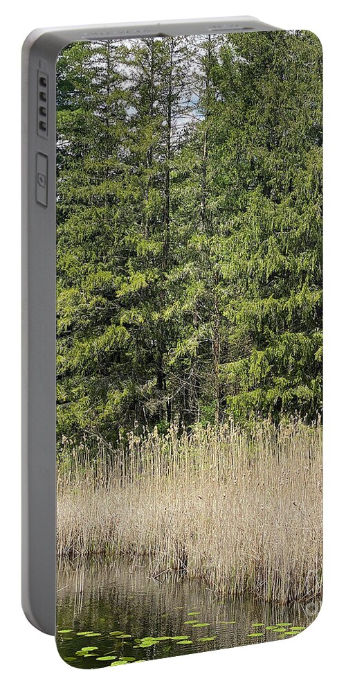 Berkshires Portable Battery Charger featuring the photograph Berkshires Pond Grass by Shany Porras Art