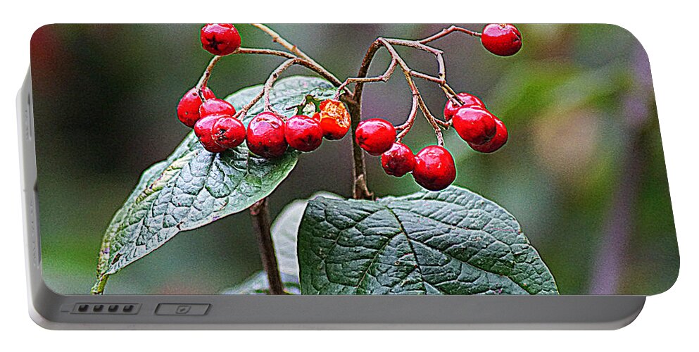 Nature Portable Battery Charger featuring the photograph Berries by Jolly Van der Velden