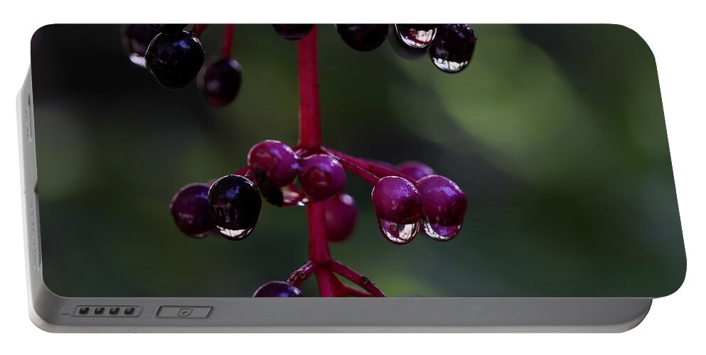 Rose Grape Portable Battery Charger featuring the photograph Rose Grape 2 by Mingming Jiang
