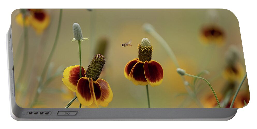 Insect Portable Battery Charger featuring the photograph Between Flowers by Deon Grandon