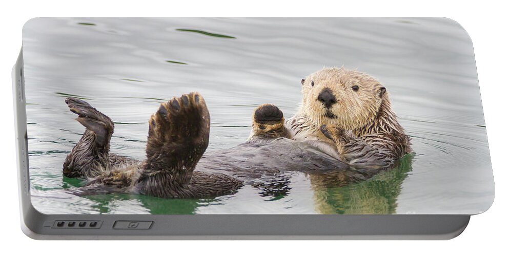 Otter Portable Battery Charger featuring the photograph Big Foot by Chris Scroggins