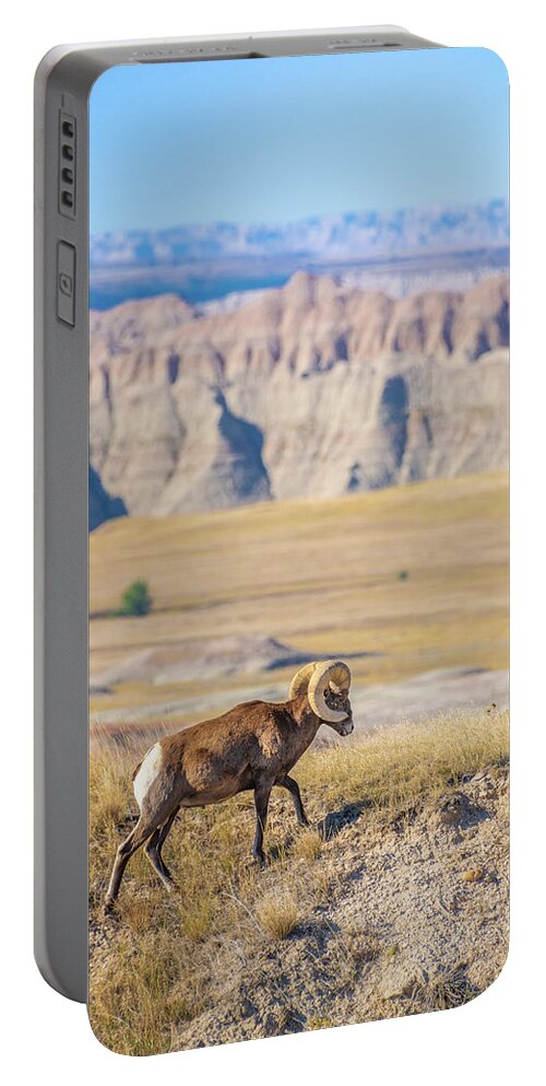 America Portable Battery Charger featuring the photograph Big Horn Posing in the Badlands by Erin K Images