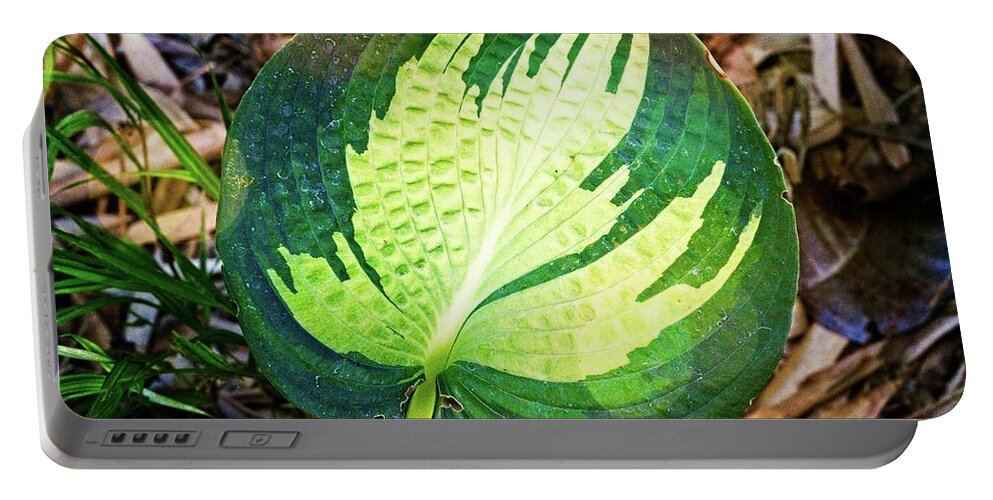 Blooming Portable Battery Charger featuring the photograph Big Leaf by David Desautel