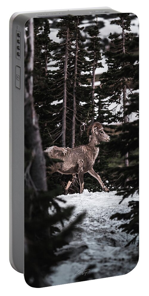  Portable Battery Charger featuring the photograph Bighorn in Snow by William Boggs