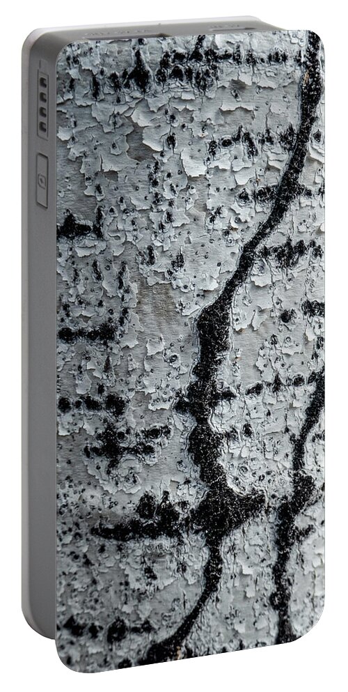 Bark Portable Battery Charger featuring the photograph Birch Bark Abstract by Phil And Karen Rispin