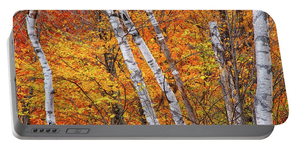 New Hampshire Portable Battery Charger featuring the photograph Birch Fire by Jeff Sinon