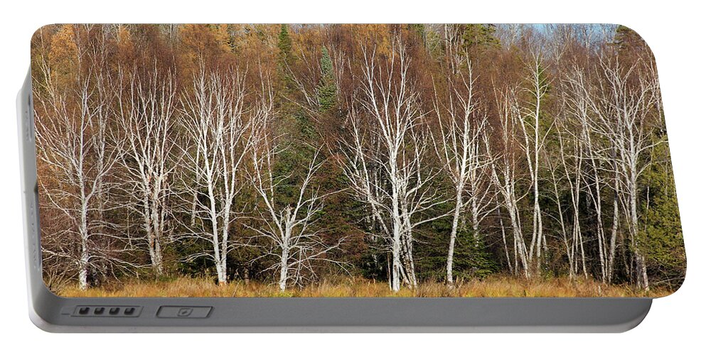 Walden Portable Battery Charger featuring the photograph Birches on Walden Pond by Robert Carter