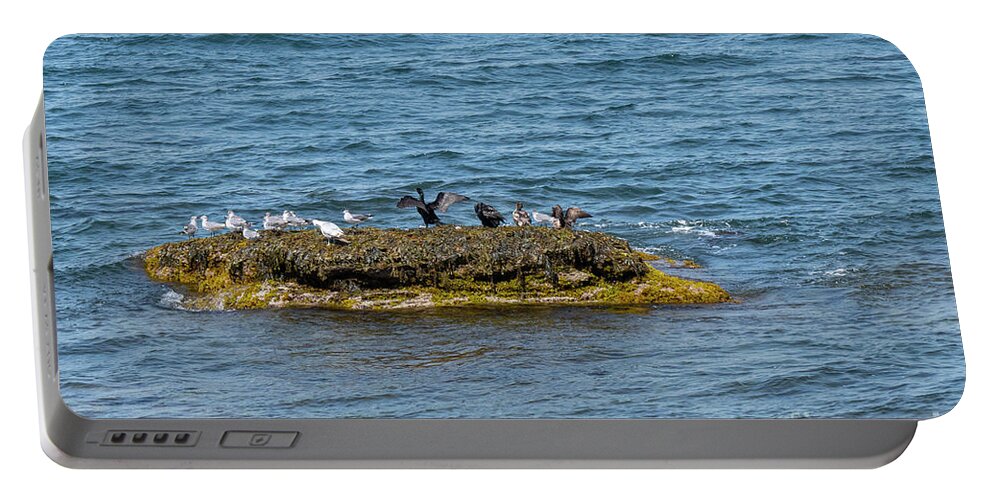 Newport Portable Battery Charger featuring the photograph Bird Island by Bob Phillips