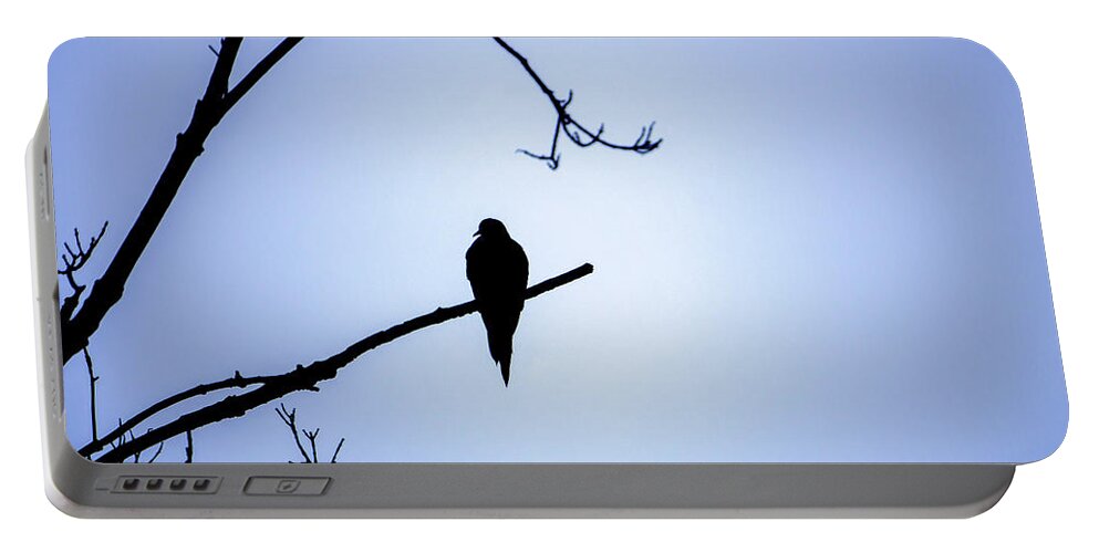 Bird Portable Battery Charger featuring the photograph Mourning Dove Silhouette - Blue Skies by Jason Fink