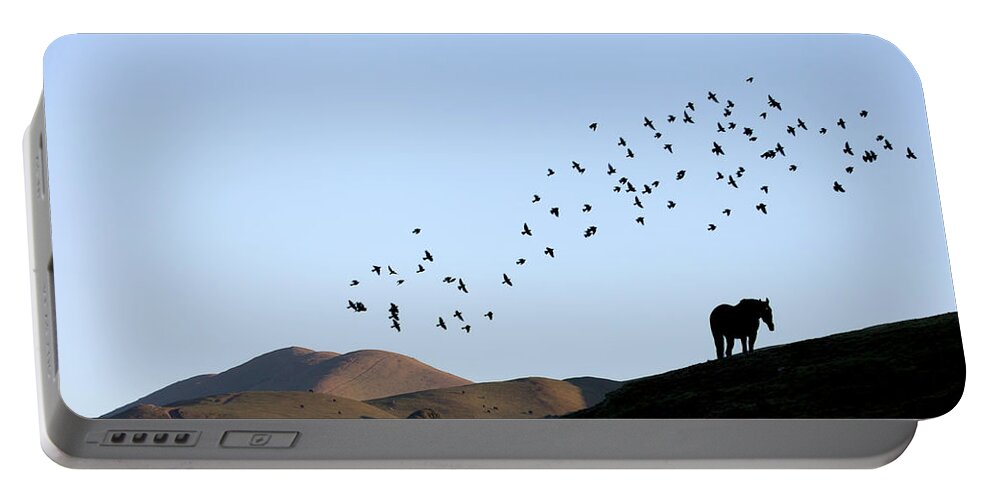 Birds Above Pasture Portable Battery Charger featuring the photograph Birds above pasture by Donald Kinney
