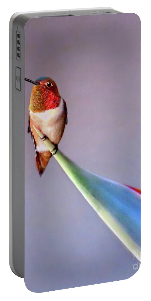 Bird Portable Battery Charger featuring the photograph Birds of Paradise by Jennie Breeze