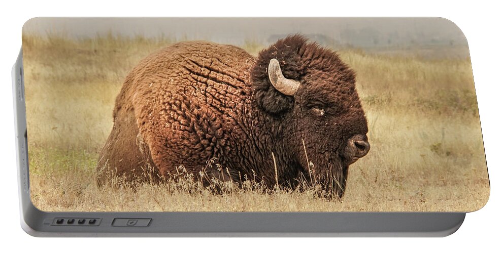 Bison Portable Battery Charger featuring the photograph Bison at Rest in a Field by Nancy Gleason