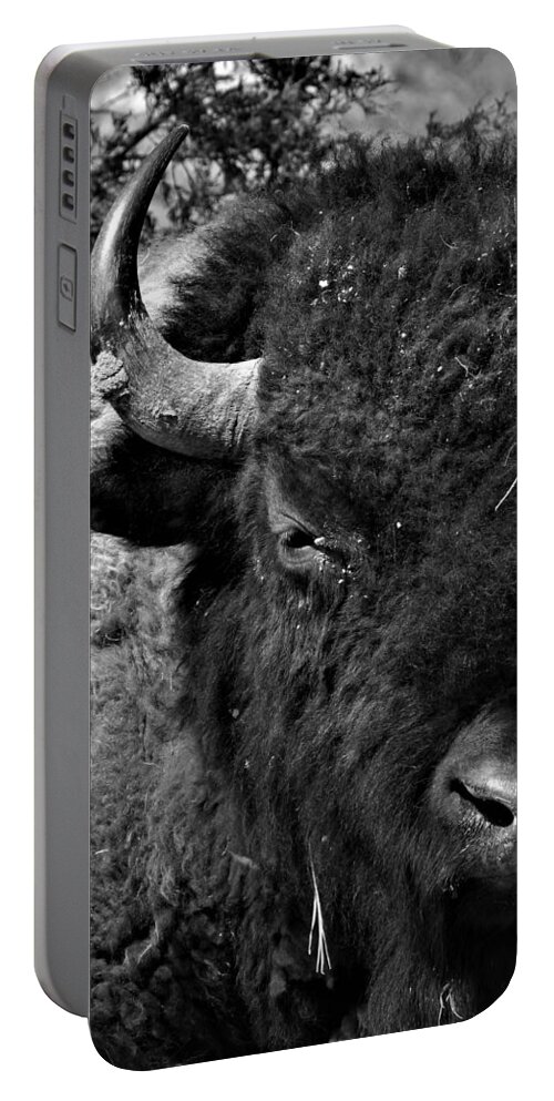 Bison Portable Battery Charger featuring the photograph Bison Bull 12 Black and White by Amanda R Wright