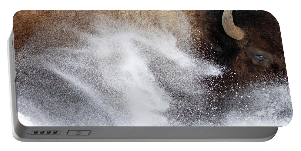 American Bison Portable Battery Charger featuring the photograph Bison Dashing Through the Snow by Max Waugh